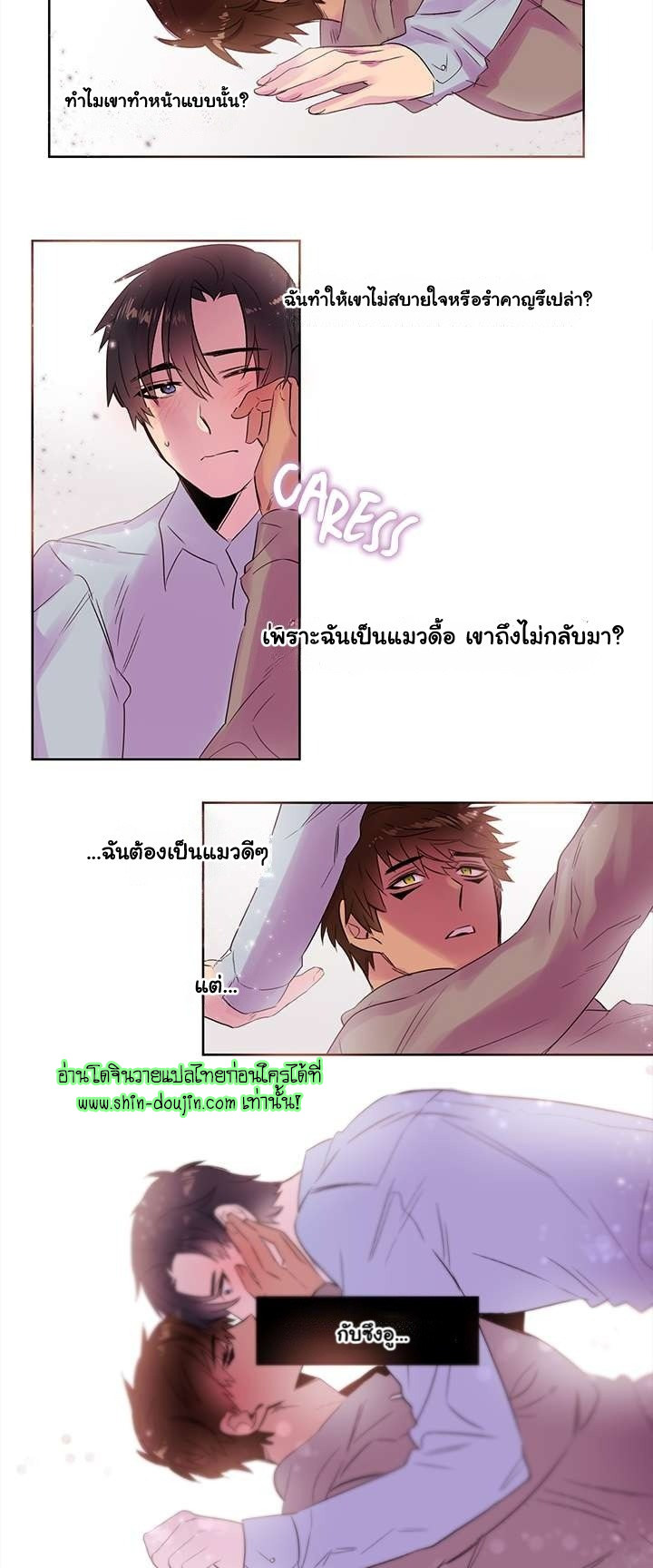 Cat in a Cardboard Box EP 5